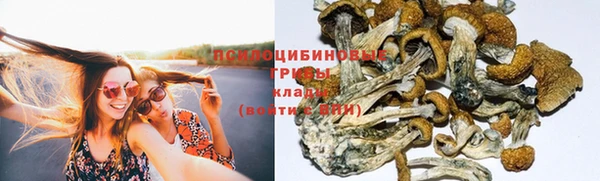 ПСИЛОЦИБИНОВЫЕ ГРИБЫ Алексин
