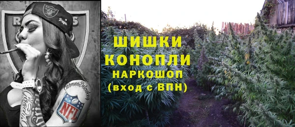 ПСИЛОЦИБИНОВЫЕ ГРИБЫ Алексин
