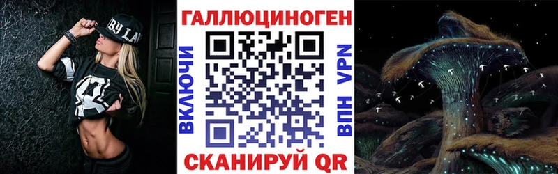 kraken   Ахтубинск  Галлюциногенные грибы Cubensis 