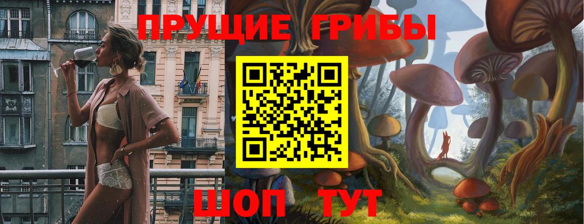 Псилоцибиновые грибы GOLDEN TEACHER  Вход с VPN  Ахтубинск 
